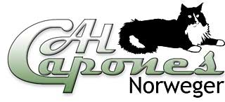 Logo: Al Capones Norweger